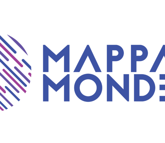 Antreprenor in Romania Mappamonde