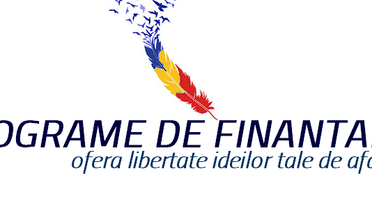 Programe de finantare antreprenori