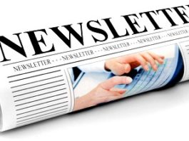 Newsletter portal afaceri