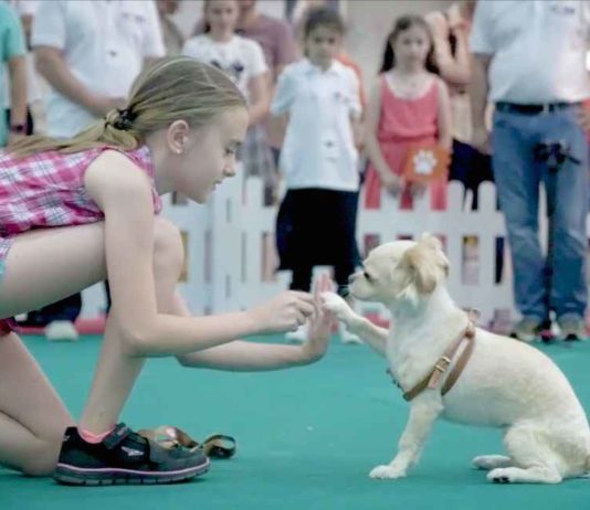 Cel mai frumos loc de pe Pamant pentru animalute, PetExpo 2019 are loc anul acesta intre 12 si 14 Aprilie, la Romexpo PetExpo Bucuresti