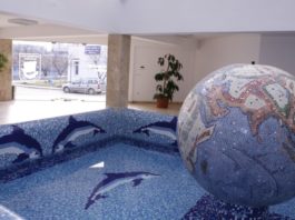 Sesiune de Informare, Networking și Training