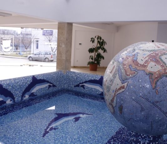 Sesiune de Informare, Networking și Training