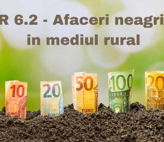 PNDR 6.2 afaceri neagricole in mediul rural 2021 PNDR 6.2 afaceri neagricole in mediul rural - infiintare activitati neagricole