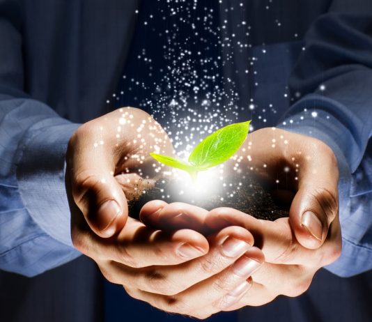 afaceri ecologice viitor