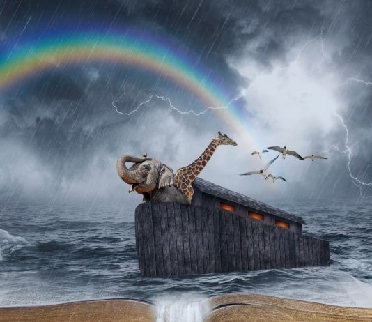 Cum sa vinzi mai mult folosind tehnici de storytelling