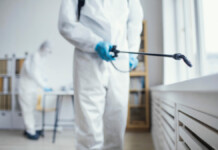 De ce serviciile DDD nu ar trebui tratate superficial