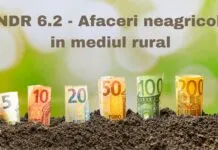PNDR 6.2 afaceri neagricole in mediul rural - infiintare activitati neagricole